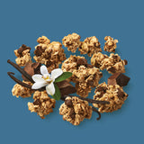 GRANOLOVE CLUSTERS - Chocolate Chip Cookie Organic Granola